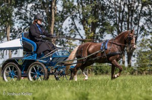 dressuur en vaardigheid  nienoord 10-8-2015  joshua keller-0415     